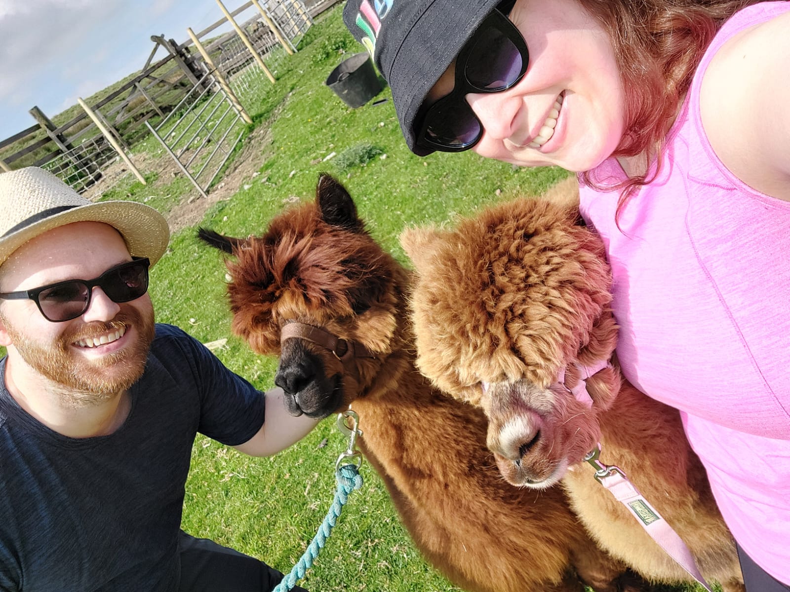 Bob & Laura with alpacas